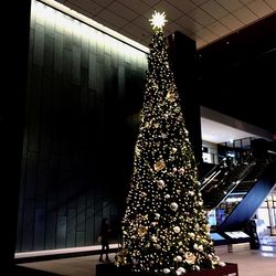 Low angle view of illuminated christmas lights