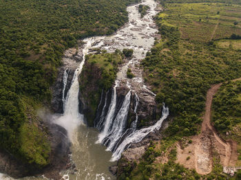 Scenic view of waterfall in forest