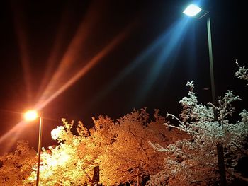 Illuminated tree against sky at night