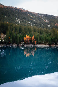 Scenic view of lake in forest against sky