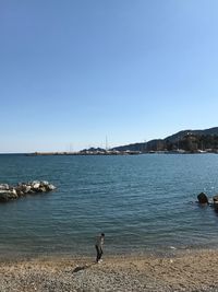 Birds perching on sea against clear sky