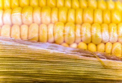 The texture of raw corn cob sweet maize