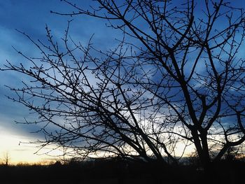 Low angle view of silhouette bare tree against sky