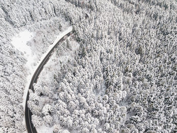 High angle view of snow covered trees on field