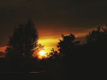 Silhouette trees against sky during sunset