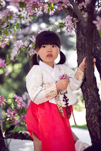 Korean girl child in a national costume sit on tree branch in a garden with cherry blossoms