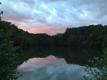 Reflection of trees in calm lake