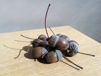 Close-up of food on table