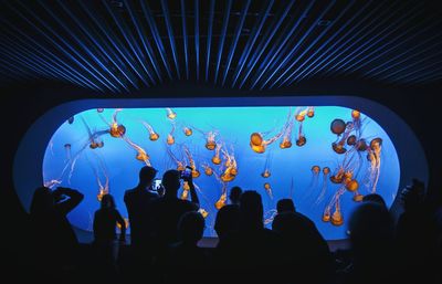 Silhouette people in aquarium