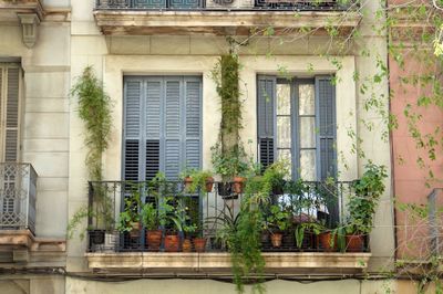 View of window