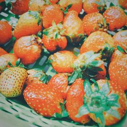 Close-up of fresh strawberries