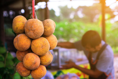 Close-up of fresh fruits growing in field