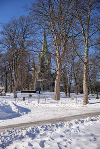 Bare trees on snow covered landscape