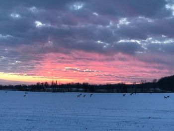Scenic view of frozen landscape against sky during sunset