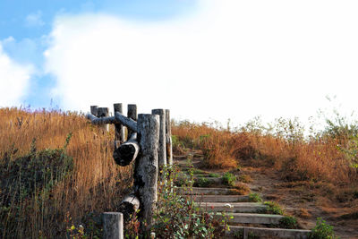 Old ruin on field against sky