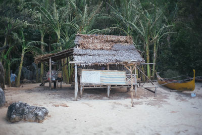 View of an animal on table