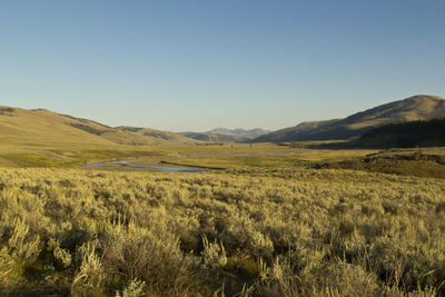 Scenic view of landscape against clear sky