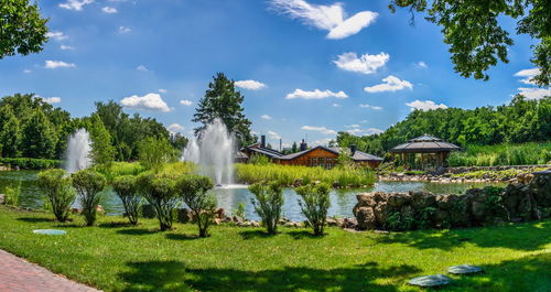 Landscapes of the park in the mezhyhirya residence, kyiv, ukraine, on a sunny summer day