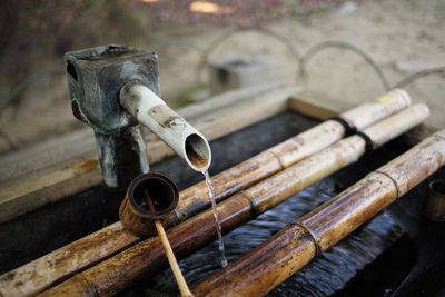 Close-up of wood