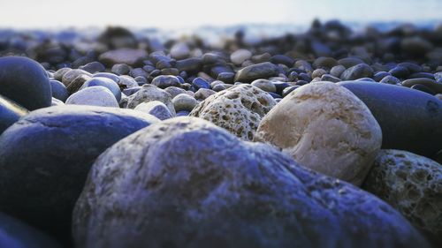 Close-up of pebbles on beach against sky