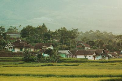 Houses on field against sky