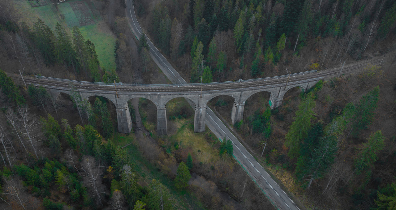 HIGH ANGLE VIEW OF BRIDGE AND TREES IN FOREST