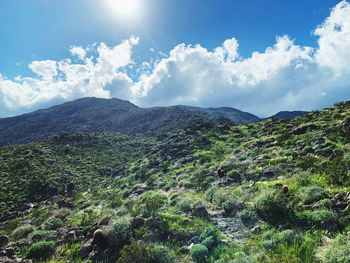 Scenic view of landscape against sky