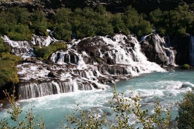 Scenic view of waterfall in forest