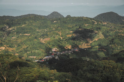 High angle view of trees on landscape