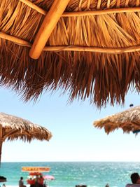 Close-up of palm tree on beach against sky