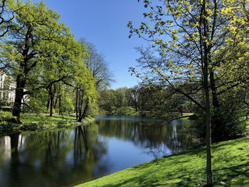 Scenic view of lake in forest against sky