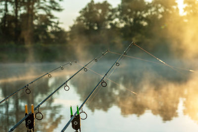 Carp fishing rods misty lake.