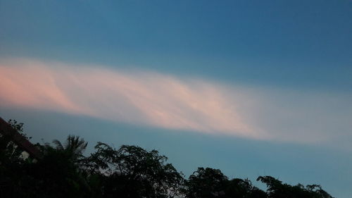 Low angle view of trees against sky during sunset