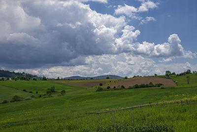 Scenic view of farm against sky