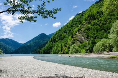 Scenic view of river in forest against sky