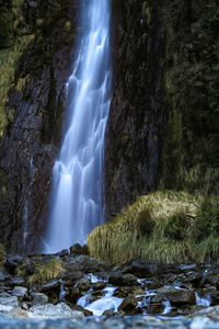 Scenic view of waterfall in forest