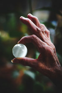 Close-up of hand holding leaf