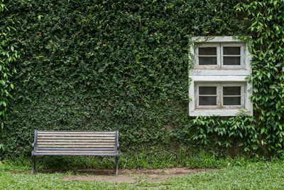 Empty bench by tree on field against building
