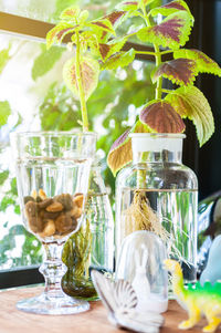 Close-up of glasses on table