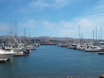 Sailboats moored in harbor