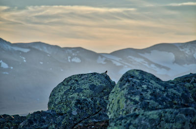 Scenic view of mountains