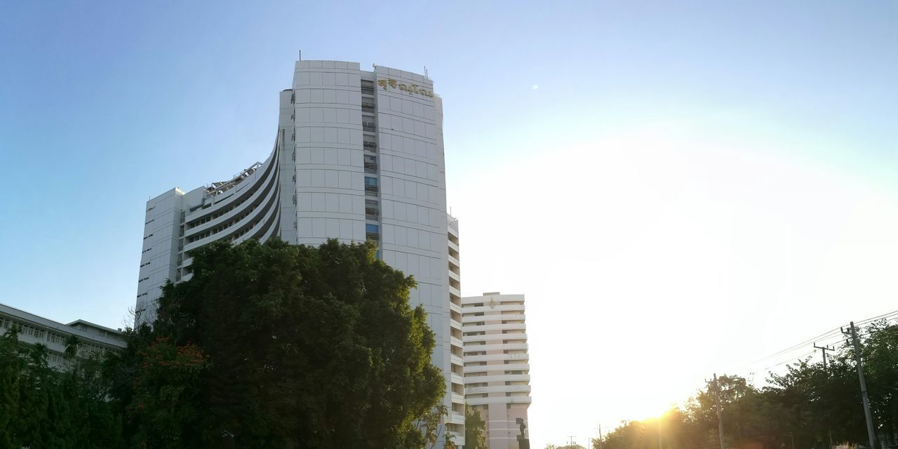 architecture, built structure, building exterior, city, low angle view, skyscraper, growth, tree, clear sky, outdoors, modern, tower, sky, day, no people