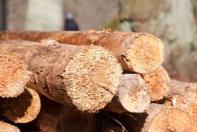 Close-up of stack of firewood