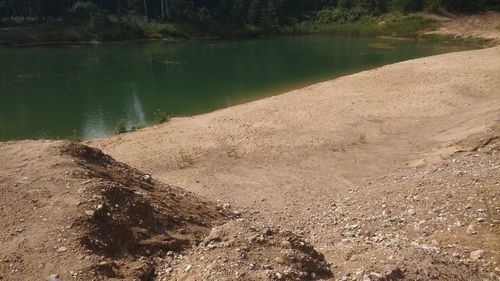 Scenic view of lake in forest