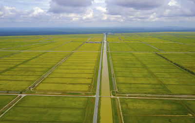 Scenic view of agricultural field against sky