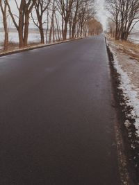 Empty road along trees