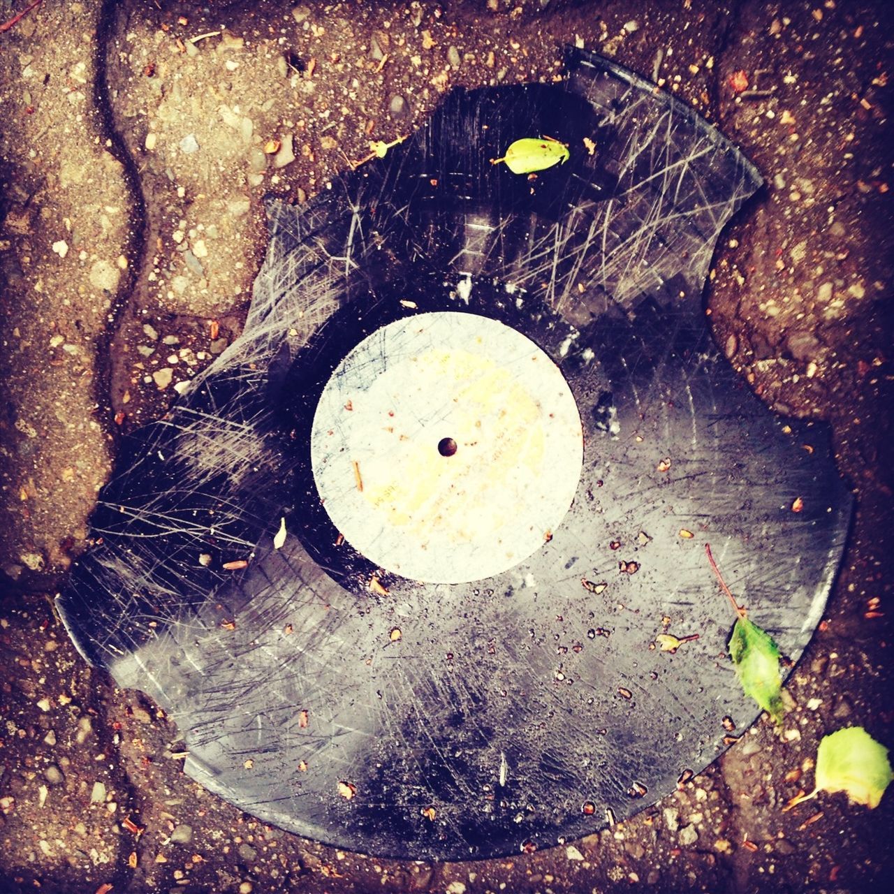 high angle view, water, puddle, leaf, wet, directly above, close-up, reflection, outdoors, day, street, no people, nature, circle, stone - object, ground, elevated view, textured, fallen, messy