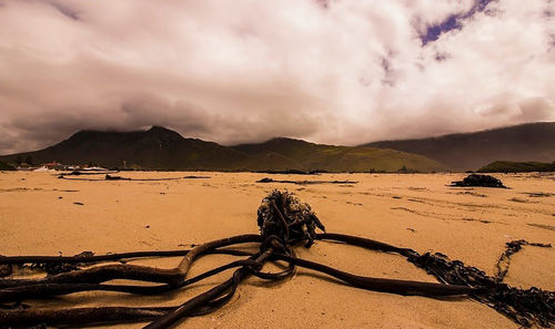 Scenic view of beach against cloudy sky