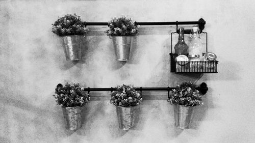 High angle view of potted plants on table