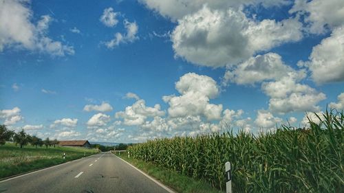 Panoramic shot of agricultural field against sky